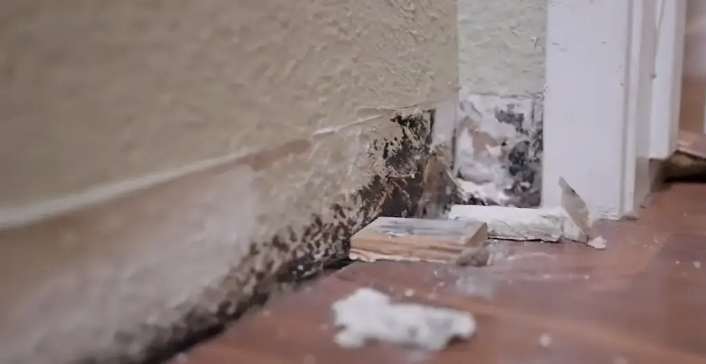 Hidden Water Damage in Your Home
